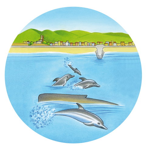 girovagando-pelagos-img